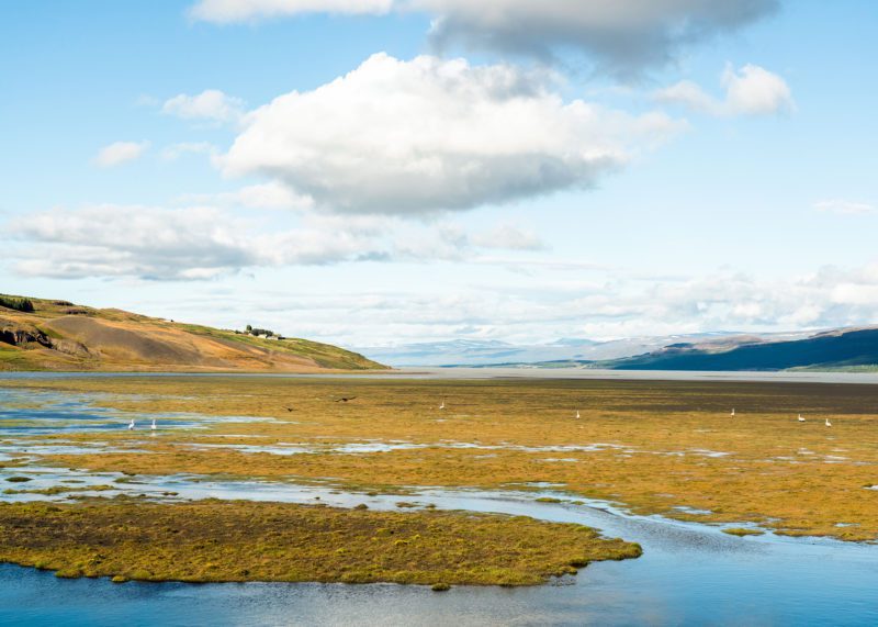 Fljótsdalur, landslag, náttúra, dýralíf. Ljósmynd: Jessica Auer.